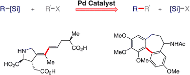 Graphical abstract: Palladium-catalysed cross-coupling of organosilicon reagents