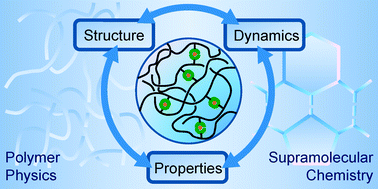 Graphical abstract: Physical chemistry of supramolecular polymer networks