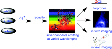 Graphical abstract: Developing luminescent silver nanodots for biological applications