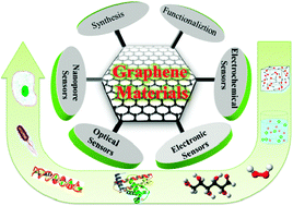 Graphical abstract: Biological and chemical sensors based on graphene materials