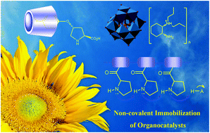 Graphical abstract: Non-covalent immobilization of asymmetric organocatalysts