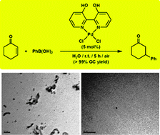Graphical abstract: Conjugate addition of arylboronic acids to α,β-unsaturated carbonyl compounds in aqueous medium using Pd(ii) complexes with dihydroxy-2,2′-bipyridine ligands: homogeneous or heterogeneous nano-catalysis?