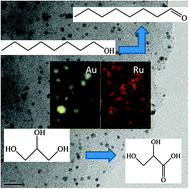 Graphical abstract: Ru modified Au catalysts for the selective oxidation of aliphatic alcohols
