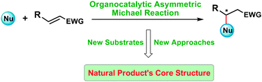 Graphical abstract: Recent advances in organocatalytic asymmetric Michael reactions