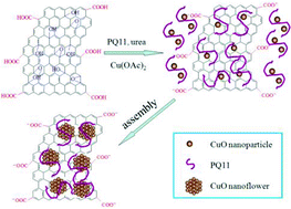 Graphical abstract: One-pot synthesis of CuO nanoflower-decorated reduced graphene oxide and its application to photocatalytic degradation of dyes