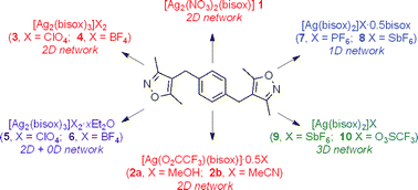 Graphical abstract: Silver coordination networks and cages based on a semi-rigid bis(isoxazolyl) ligand