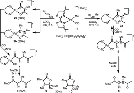 Graphical abstract: Carbonylation of styrenes catalyzed by bioxazoline Pd(ii) complexes: mechanism of enantioselectivity