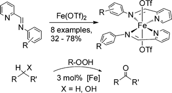 Graphical abstract: New iron(ii) α-iminopyridine complexes and their catalytic activity in the oxidation of activated methylene groups and secondary alcohols to ketones