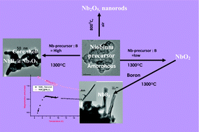 Graphical abstract: Novel borothermal process for the synthesis of nanocrystalline oxides and borides of niobium