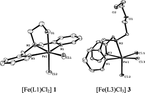 Graphical abstract: Biomimetic iron(iii) complexes of N3O and N3O2 donor ligands: protonation of coordinated ethanolate donor enhances dioxygenase activity