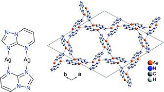 Graphical abstract: Dinuclear silver(i) complexes for the design of metal–ligand networks based on triazolopyrimidines