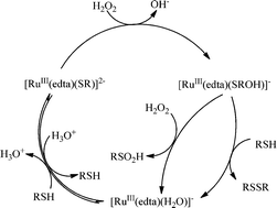 Graphical abstract: Kinetics and mechanism of the [RuIII(edta)(H2O)]−-mediated oxidation of cysteine by H2O2