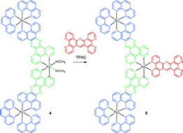 Graphical abstract: Trinuclear ruthenium dendrons based on bridging PHEHAT and TPAC ligands