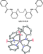 Graphical abstract: Cobalt(ii), nickel(ii) and copper(ii) complexes of a hexadentate pyridine amide ligand. Effect of donor atom (ethervs. thioether) on coordination geometry, spin-state of cobalt and MIII–MII redox potential