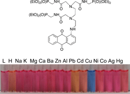 Graphical abstract: Rational design of aminoanthraquinones for colorimetric detection of heavy metal ions in aqueous solution