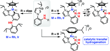 Graphical abstract: Variable coordination of amine functionalised N-heterocyclic carbene ligands to Ru, Rh and Ir: C–H and N–H activation and catalytic transfer hydrogenation