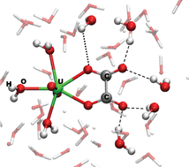 Graphical abstract: Binding modes of oxalate in UO2(oxalate) in aqueous solution studied with first-principles molecular dynamics simulations. Implications for the chelate effect