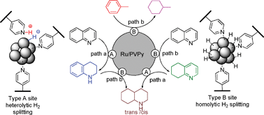 Graphical abstract: Hydrogenation of arenes and N-heteroaromatic compounds over ruthenium nanoparticles on poly(4-vinylpyridine): a versatile catalyst operating by a substrate-dependent dual site mechanism