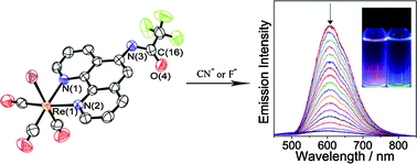 Graphical abstract: Luminescent rhenium(i) complexes with acetylamino- and trifluoroacetylamino-containing phenanthroline ligands: Anion-sensing study