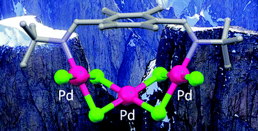 Graphical abstract: Chlorometallate and palladium cluster complexes of wide-span diimine and diamine ligands