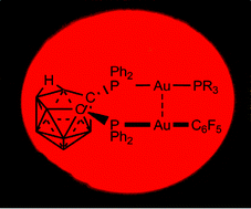 Graphical abstract: Highly emissive dinuclear complexes [Au2{μ-(PPh2)2C2B9H10}(C6F5)(PR3)] with different gold fragments coordinated to an anionic diphosphine