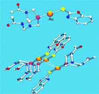 Graphical abstract: Thiolato gold(i) complexes containing water-soluble phosphane ligands: a characterization of their chemical and biological properties