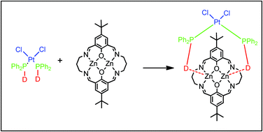 Graphical abstract: Zn(ii) Robson macrocycles as templates for chelating diphosphines