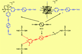 Graphical abstract: Asymmetric addition of pyridine to 1,4-bis(ethynyl)bicyclo[2.2.2]octane: dissymmetrical rotator ligands illustrated in dpppPt(ii) and [Re6Se8]2+ complexes and an amphidynamic hydrogen bonded framework solid