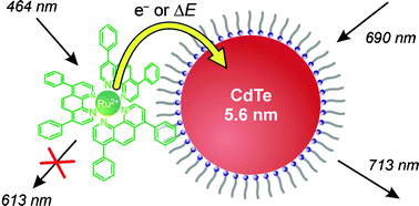 Graphical abstract: Luminescence quenching in self-assembled adducts of [Ru(dpp)3]2+ complexes and CdTe nanocrystals