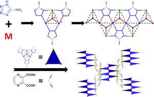 Graphical abstract: Isomorphous tetrazolate MnII and CoII compounds built on Δ-chain showing different magnetic behaviors