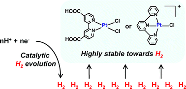 Graphical abstract: Stability of Pt(ii)-based H2-evolving catalysts against H2 in aqueous solution