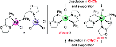 Graphical abstract: A phosphino-oxazoline ligand as a P,N-bridge in palladium/cobalt or P,N-chelate in nickel complexes: catalytic ethylene oligomerization