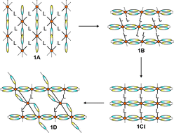 Graphical abstract: New cadmium thio- and selenocyanato coordination compounds: Structural snapshots on the reaction pathway to more condensed anionic networks