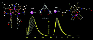 Graphical abstract: Coordination induced fluorescence enhancement and construction of a Zn3 constellation through hydrolysis of ligand imine arms