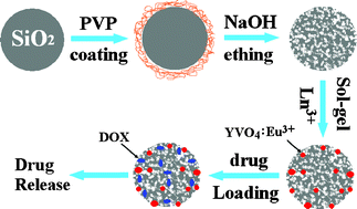 Graphical abstract: YVO4:Eu3+ functionalized porous silica submicrospheres as delivery carriers of doxorubicin