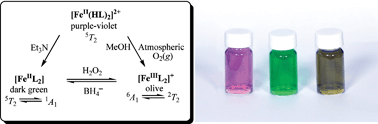 Graphical abstract: Coordination versatility of tridentate pyridyl aroylhydrazones towards iron: tracking down the elusive aroylhydrazono-based ferric spin-crossover molecular materials