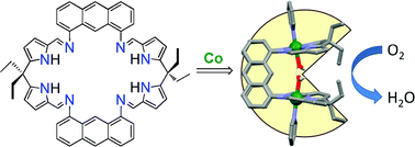 Graphical abstract: Double-pillared cobalt Pacman complexes: synthesis, structures and oxygen reduction catalysis