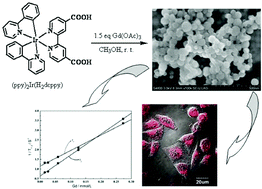 Graphical abstract: Synthesis of d–f coordination polymer nanoparticles and their application in phosphorescence and magnetic resonance imaging