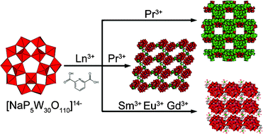 Graphical abstract: New class of Preyssler-lanthanide complexes with modified and extended structures tuned by the lanthanide contraction effect