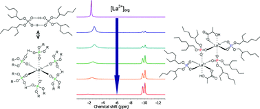 Graphical abstract: Characterization of HDEHP-lanthanide complexes formed in a non-polar organic phase using 31P NMR and ESI-MS