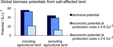 Graphical abstract: The global technical and economic potential of bioenergy from salt-affected soils