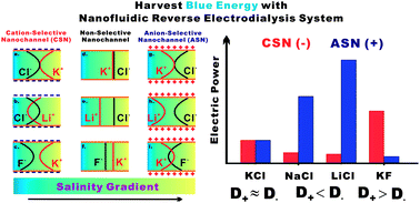 Graphical abstract: Towards understanding the nanofluidic reverse electrodialysis system: well matched charge selectivity and ionic composition