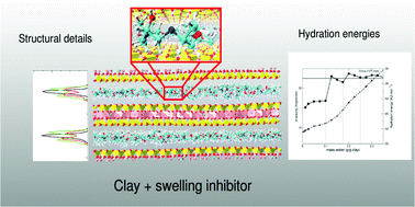 Graphical abstract: Rule based design of clay-swelling inhibitors