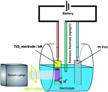 Graphical abstract: Bacteriorhodopsin/TiO2 nanotube arrays hybrid system for enhanced photoelectrochemical water splitting