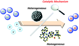 Graphical abstract: Catalytic mechanisms of hydrogen evolution with homogeneous and heterogeneous catalysts