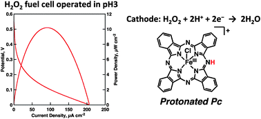 Graphical abstract: Protonated iron–phthalocyanine complex used for cathode material of a hydrogen peroxide fuel cell operated under acidic conditions