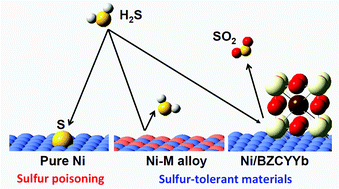 Graphical abstract: From Ni-YSZ to sulfur-tolerant anode materials for SOFCs: electrochemical behavior, in situ characterization, modeling, and future perspectives
