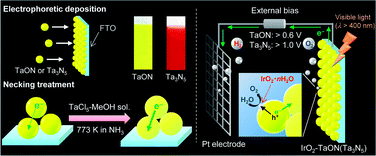 Graphical abstract: Fabrication of efficient TaON and Ta3N5 photoanodes for water splitting under visible light irradiation