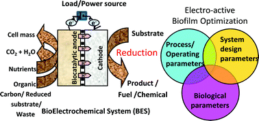 Graphical abstract: Electroactive biofilms: Current status and future research needs
