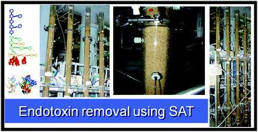 Graphical abstract: Assessing the removal potential of soil-aquifer treatment system (soil column) for endotoxin